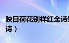 映日荷花别样红全诗意思（映日荷花别样红全诗）