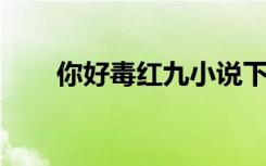 你好毒红九小说下载（你好毒 红九）