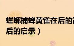 螳螂捕蝉黄雀在后的简笔画（螳螂捕蝉黄雀在后的启示）