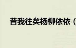 昔我往矣杨柳依依（昔我往矣杨柳依依）