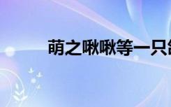 萌之啾啾等一只鸽子（萌之啾啾）