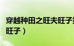 穿越种田之旺夫旺子第二部（穿越种田之旺夫旺子）