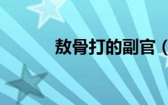 敖骨打的副官（敖骨打的副官）
