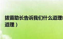 拔苗助长告诉我们什么道理幼儿园（拔苗助长告诉我们什么道理）