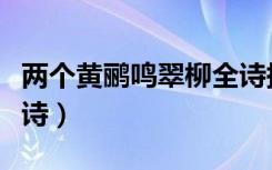两个黄鹂鸣翠柳全诗拼音（两个黄鹂鸣翠柳全诗）
