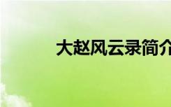 大赵风云录简介（大赵风云录）
