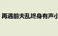 再遇前夫乱终身有声小说（再遇前夫乱终身）
