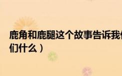 鹿角和鹿腿这个故事告诉我们（鹿角和鹿腿这个故事告诉我们什么）