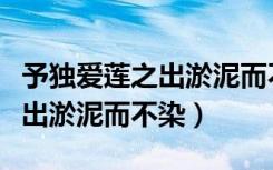 予独爱莲之出淤泥而不染下一句（予独爱莲之出淤泥而不染）