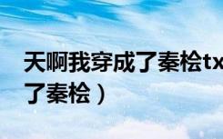 天啊我穿成了秦桧txt百度网盘（天啊我穿成了秦桧）