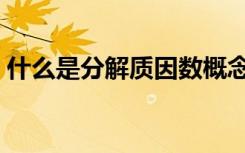 什么是分解质因数概念（什么是分解质因数）