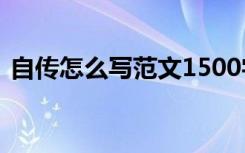 自传怎么写范文1500字（自传怎么写 范文）