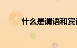 什么是谓语和宾语（什么是谓语）