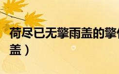 荷尽已无擎雨盖的擎什么意思（荷尽已无擎雨盖）