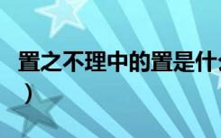 置之不理中的置是什么意思啊（置之不理造句）