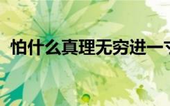 怕什么真理无穷进一寸有一寸的欢喜谁说的