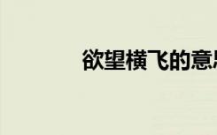 欲望横飞的意思（欲望腾飞）