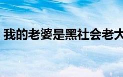 我的老婆是黑社会老大（我的老婆是黑社会）