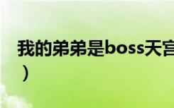 我的弟弟是boss天宫茉理（我的弟弟是boss）