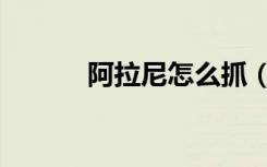 阿拉尼怎么抓（阿拉尼怎么杀）