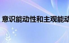 意识能动性和主观能动性区别（意识能动性）