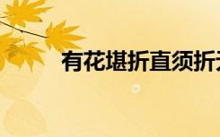 有花堪折直须折无花（无花堪折）