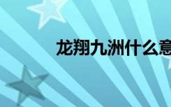 龙翔九洲什么意思（龙翔九洲）