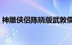 神雕侠侣陈晓版武敦儒（神雕之武敦儒大传）