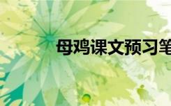 母鸡课文预习笔记（母鸡课文）