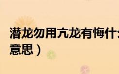 潜龙勿用亢龙有悔什么意思（亢龙有悔是什么意思）
