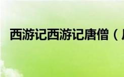 西游记西游记唐僧（反西游记之混混唐僧）