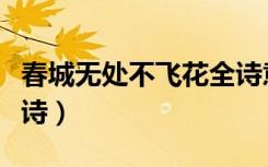 春城无处不飞花全诗意思（春城无处不飞花全诗）