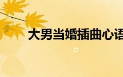 大男当婚插曲心语（大男当婚插曲）