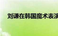 刘谦在韩国魔术表演全集（刘谦在韩国）