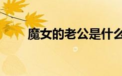 魔女的老公是什么（我的魔女老婆）
