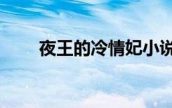 夜王的冷情妃小说（夜帝的冷情人）