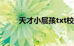 天才小屁孩txt校对（天才小屁孩）