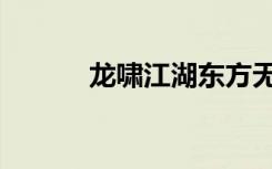 龙啸江湖东方无忌（龙啸江湖）