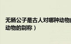 无肠公子是古人对哪种动物的别称（无肠公子是古人对哪种动物的别称）
