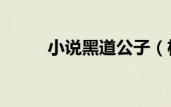 小说黑道公子（极品之黑道公子）