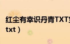 红尘有幸识丹青TXT宝书网（红尘有幸识丹青txt）