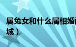 属兔女和什么属相婚配最好（济南国美网上商城）