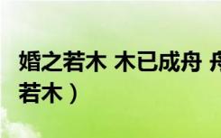 婚之若木 木已成舟 舟水之喻 喻之以爱（婚之若木）
