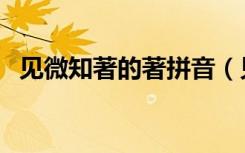 见微知著的著拼音（见微知著的著的意思）
