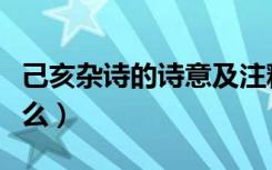 己亥杂诗的诗意及注释（己亥杂诗的诗意是什么）