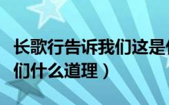 长歌行告诉我们这是什么道理（长歌行告诉我们什么道理）