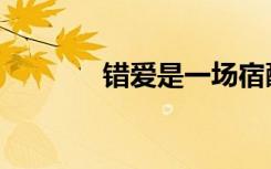 错爱是一场宿醉（一夜错情）