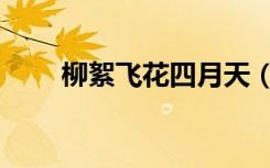 柳絮飞花四月天（柳絮飞花四月天）