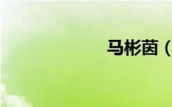 马彬茵（mabin）