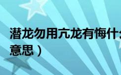 潜龙勿用亢龙有悔什么意思（亢龙有悔是什么意思）